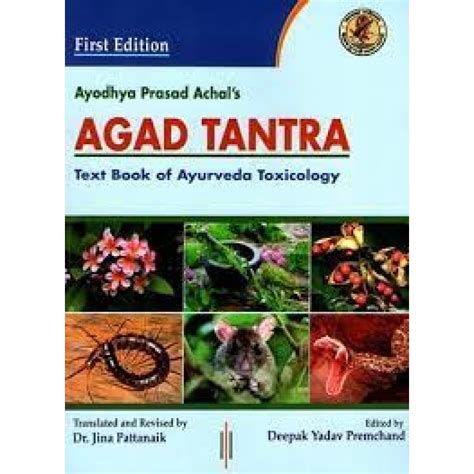 agad agad in english|Agad in English .